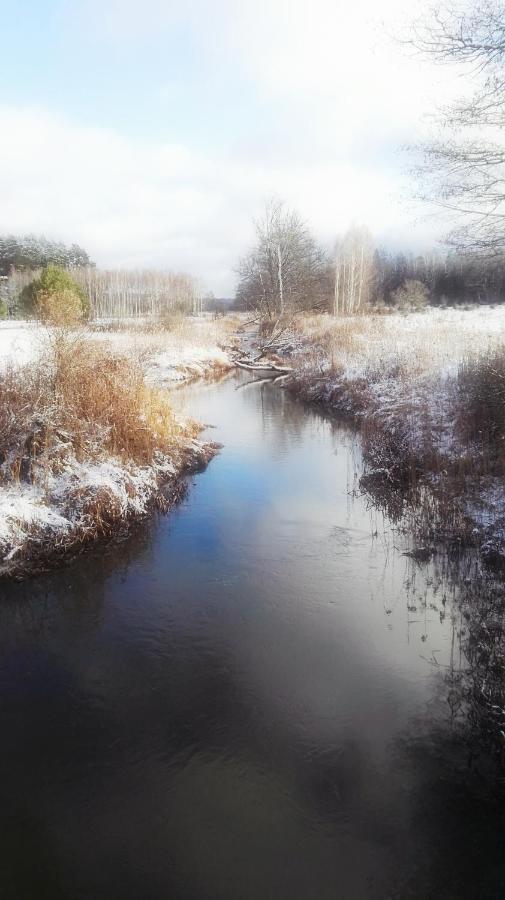 Siedlisko Gruszki Puszcza Bialowieska Narewka Luaran gambar