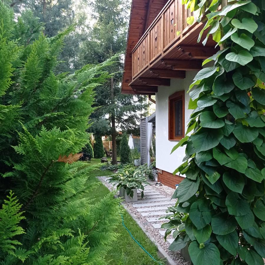 Siedlisko Gruszki Puszcza Bialowieska Narewka Luaran gambar
