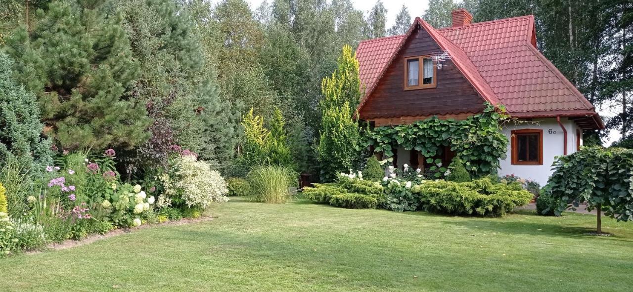 Siedlisko Gruszki Puszcza Bialowieska Narewka Luaran gambar